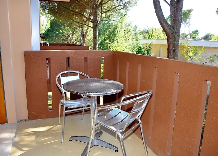 Relaxing By Sea And Pines